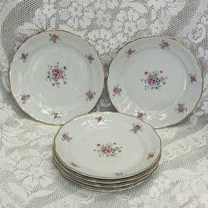 6 Pretty Porcelain Cake or Salad Plates WALBRZYCH Poland Vintage